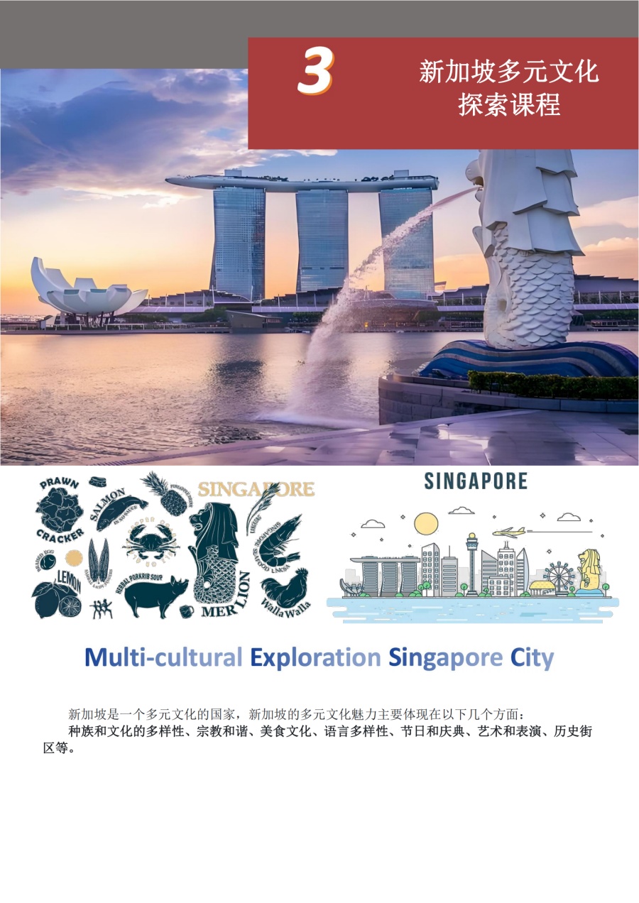 新加坡南洋理工AI项目2025暑假（SGAEP升学赋能计划）(1)_12.jpg